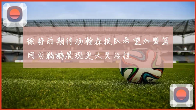 徐静雨期待杨瀚森换队希望加盟篮网或鹈鹕展现更大灵活性